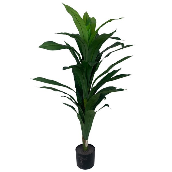 PLANTA 1.1M